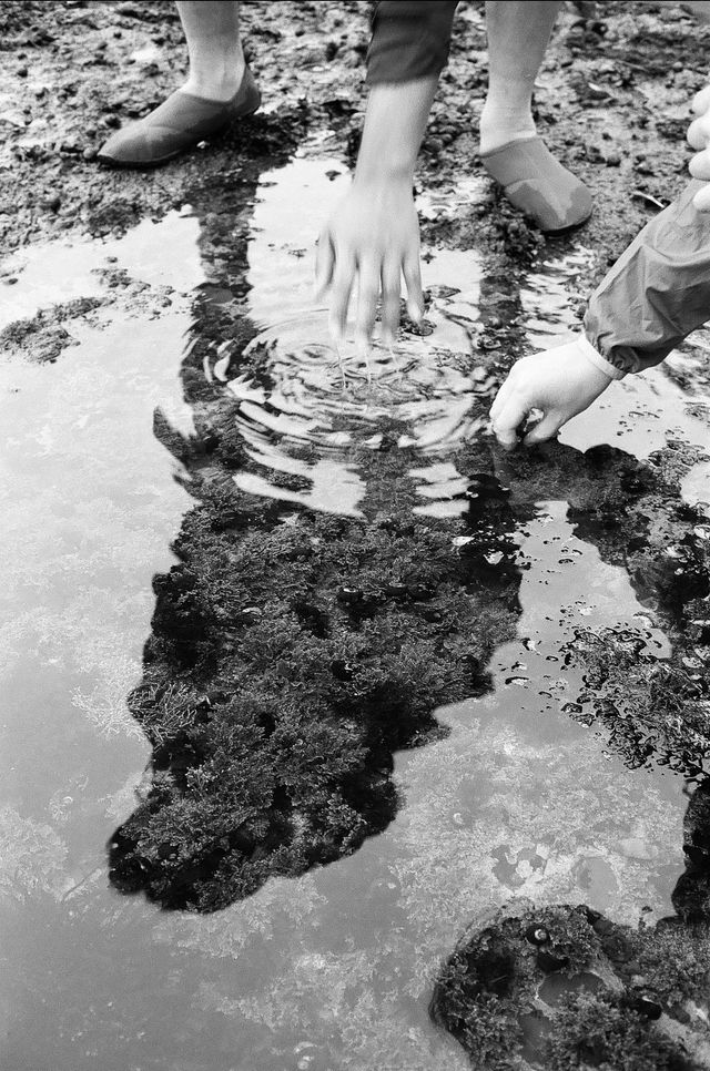 Hands in the Tidepool