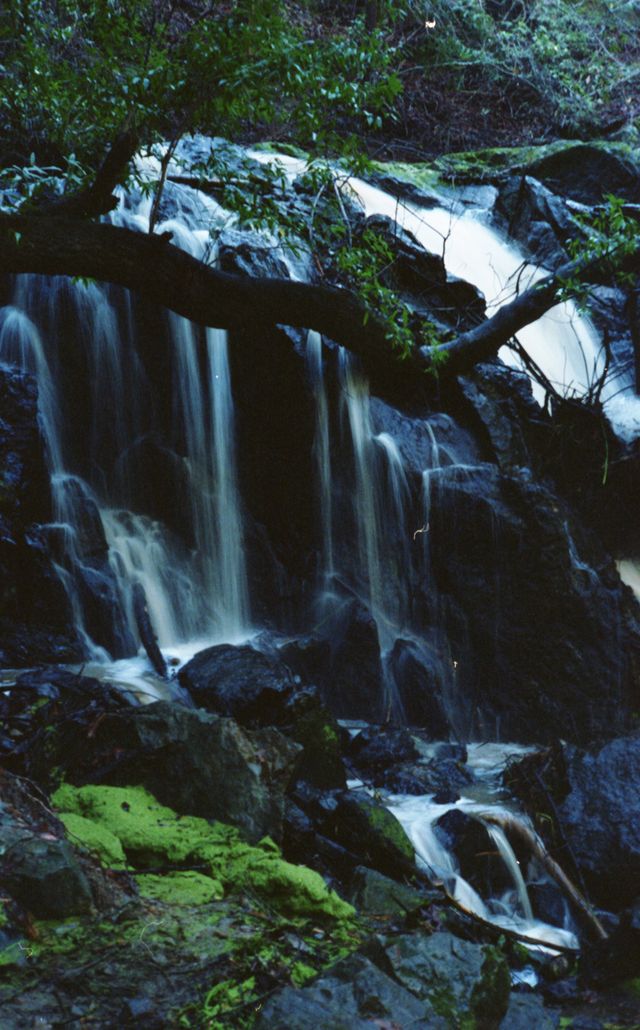 Waterfall at China Camp